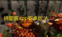 拼图酱app安卓版 人气热度	：21℃