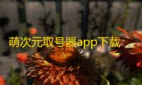 萌次元取号器app下载永久下载
